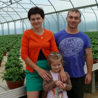 rośliny ozdobne gospodarstwo ogrodnicze