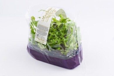 Fruit Logistica Innovation Award (2)