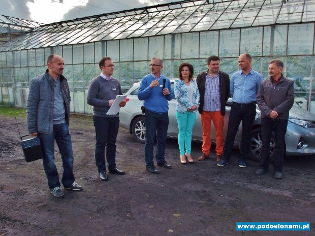 ogórki krótkie partenokarpiczne