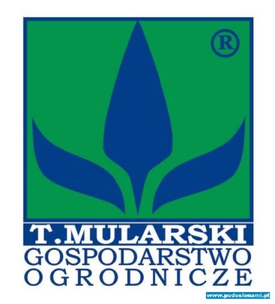 Mularski