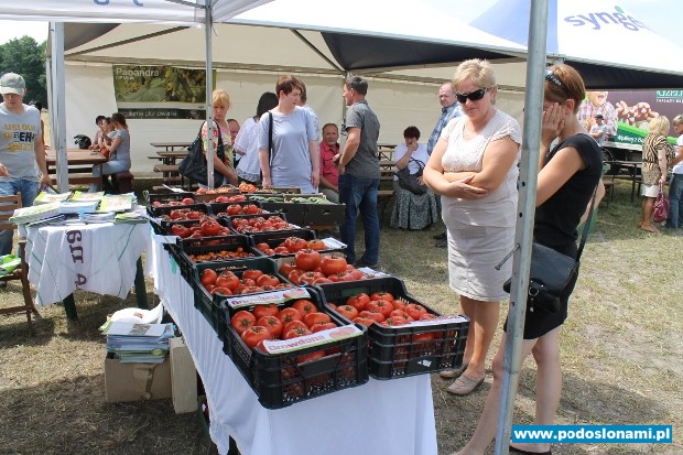 dni otwarte Syngenta