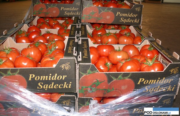pomidory