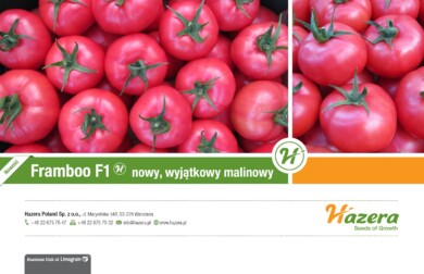baner_Framboo_620_400