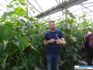 Marcin Piechota, De Reuiter, Tłokinia Wielka