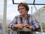 Anna PAwełowska, doradca, Tłokinia Wielka