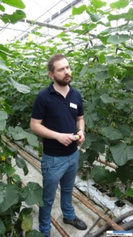 Paweł Kloc, Koppert, ochrona biologiczna, przędziorki,