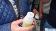 Spidex, dobroczynek szklarniowy, Koppert, ochrona biologiczna, ogórki