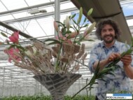 Pim van den Akker_Dutch Lily Days 2015