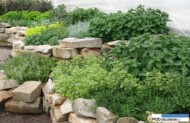 Ziołowy ogród - ekspozycja podczas Dni Otwartych firmy Plantpol w Zaborzu