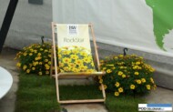 Przykład promocji roślin ozdobnych - leżak reklamujący nową serią bidensu z oferty Proven Winners - Rock Star