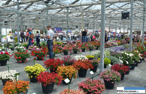 Żywy katalog odmian roślin balkonowo-rabatowych, bylin, trwa i ziół cieszył się dużym zainteresowaniem zwiedzających, Plantpol Zaborze