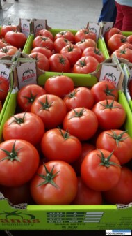 Owoce Edamso F1 w opakowaniu handlowym pp. Janasów