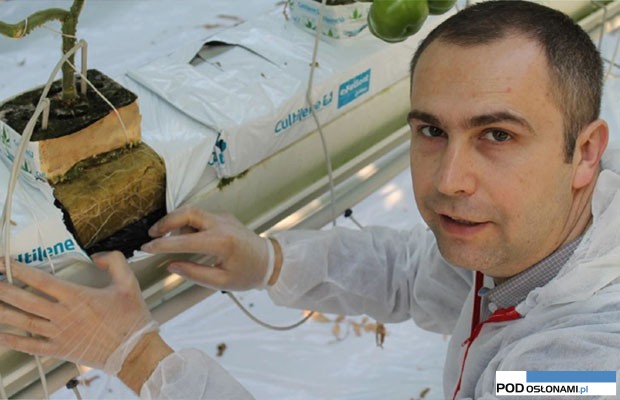 Wojciech Juńczyk, Cultilene