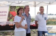 Barbara Głaczkowska