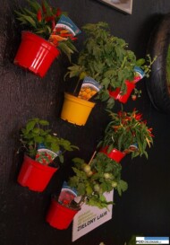 Koncepcja Grow Your Own - Twoja plantacja
