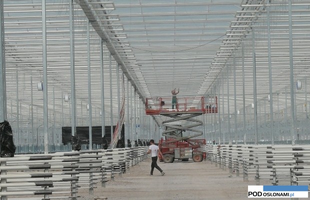 szklarnia w Siechnicach