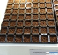 Taca wielokomórkowa z firmy Jiffy_z otworami w gornej plaszczyznie_GrootGroen Plus 2015_Zunder