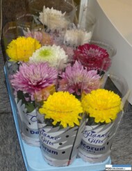 chryzantemy Chrysanne_Gifts_Lion-Plant_Decorum__FloraHolland Trade Fair Aalsmeer 2015