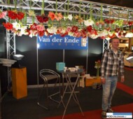 hipeastrum_Van der Ende Flowers_FloraHolland-Trade-Fair-Aalsmer-2015