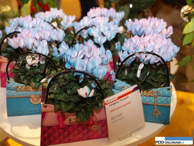 Make-Upz® Cyclamen__FloraHolland-Trade-Fair-Aalsmer-2015