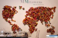 roze_MM Flowers_FloraHolland Trade Fair Aalsmeer 2015
