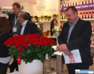 Jan Wójcik na stoisku firmy Kordes Roses i odmiana Red Eagle
