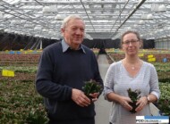 Gartneriet Thoruplund_Jorgen Andersen_i_Karin Clemmensen_Schlumbergera