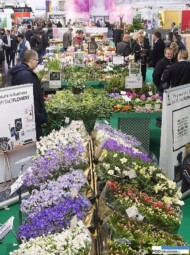 Dania - rosliny doniczkowe - na targach IPM Essen_ fot. Rainer Schimm/©MESSE ESSEN GmbH