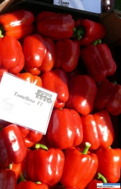 papryka Tomelloso F1