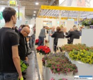 IPM Essen 2016