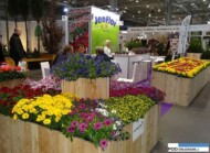 Jenflor_Gardenia 2016_Poznań