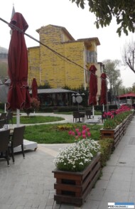 Stambul_kwiecien 2016_podczas Istanbul Tulip Festival_tulipany w ogrodku restauracyjnym