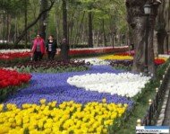park Emirgan_Stambul_Istanbul Tulip Festival 2016