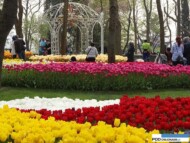 park Emirgan_Stambul_Istanbul Tulip Festival 2016