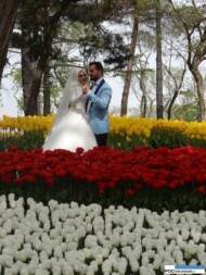 park Emirgan_Stambul_Istanbul Tulip Festival 2016