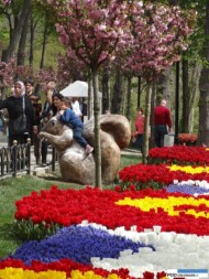 park Emirgan_Stambul_Istanbul Tulip Festival 2016