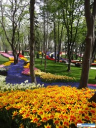 park Emirgan_Stambul_Istanbul Tulip Festival 2016