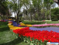 park Emirgan_Stambul_Istanbul Tulip Festival 2016