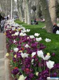 park Gülhane_Stambul_Istanbul Tulip Festival 2016