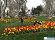 park Gülhane_Stambul_Istanbul Tulip Festival 2016