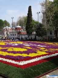 Sultanahmet_Stambul_dywan z tulipanow_Istanbul Tulip Festival 2016