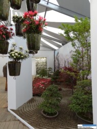Floralies of Ghent 2016_Japonia gość honorowy