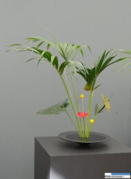 Floralies of Ghent 2016_kompozycja florystyczna _Sogetsu Ikebana