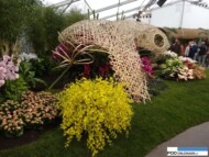 Floralies of Ghent 2016_Nertera