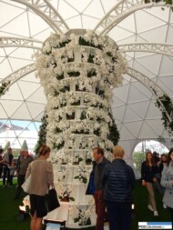 Floralies of Ghent 2016_Hortinno Spider by Flore Group