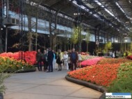 Floralies of Ghent 2016_AVBS hall