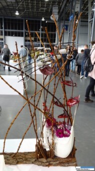 Anna Fonkę, Fan-Pol