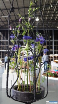 Michał Nica, kompozycja w naczyniu