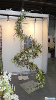 Gardenia, Katarzyna Witecka