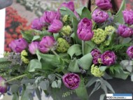 tulipan BronislawKomorowski